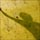 Ombra